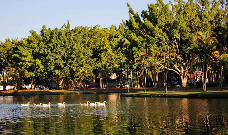 Cidade de Artur Nogueira, SP